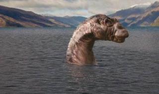 天山天池疑拍到水怪